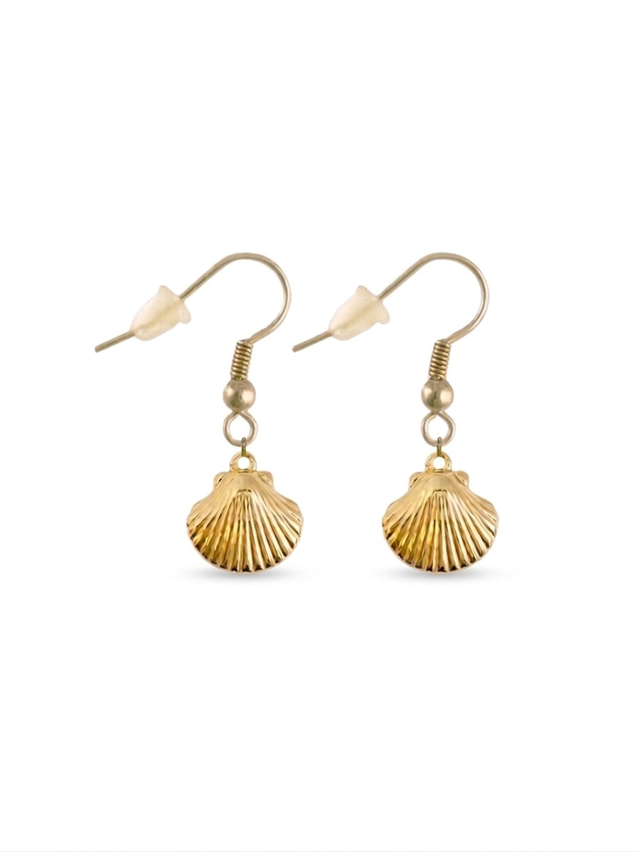 seashell - earrings