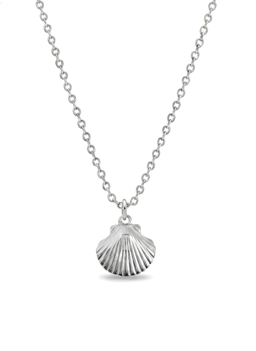 shell - necklace