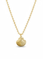 shell - necklace