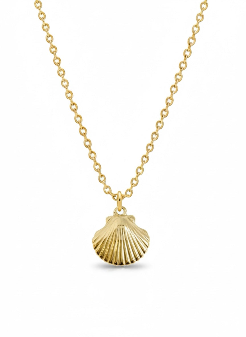 shell - necklace