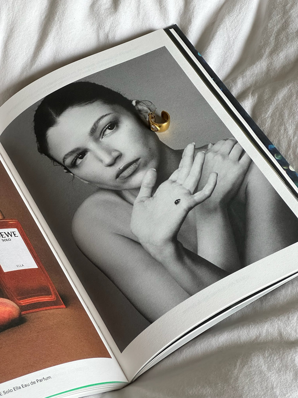 crystal heart - earrings