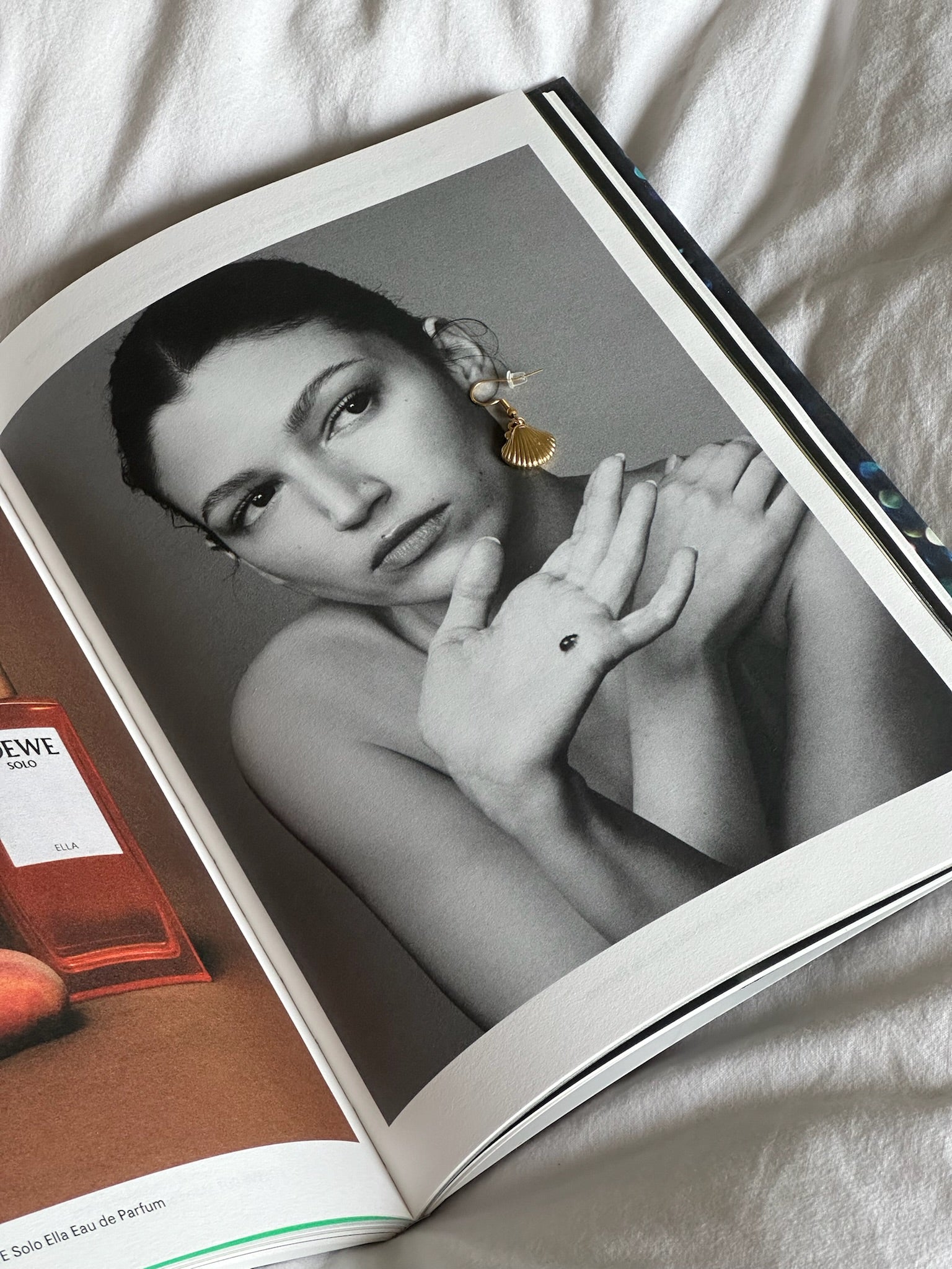 seashell - earrings image 3